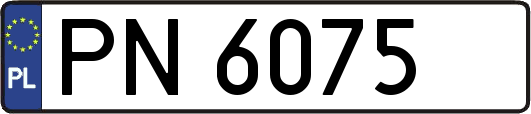PN6075