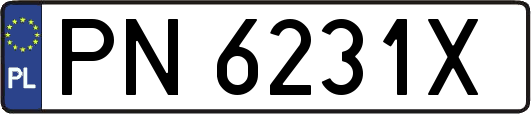 PN6231X