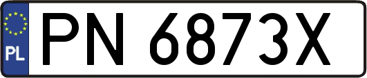 PN6873X