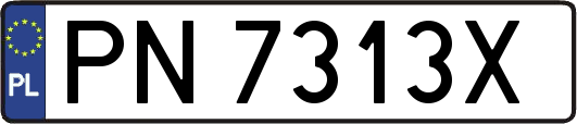 PN7313X