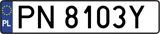 PN8103Y
