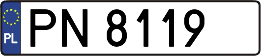 PN8119
