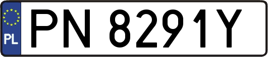 PN8291Y