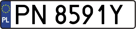 PN8591Y