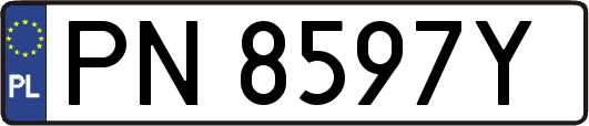 PN8597Y