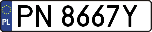 PN8667Y