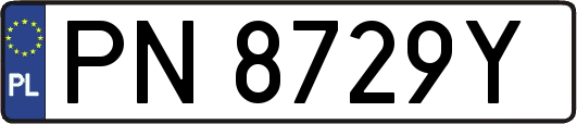 PN8729Y