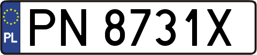 PN8731X