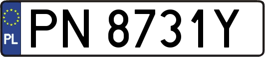 PN8731Y