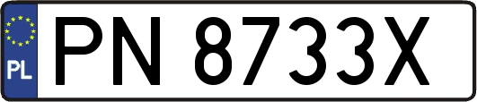 PN8733X