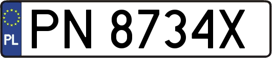 PN8734X