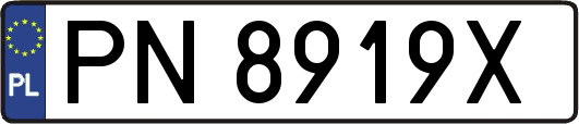 PN8919X