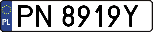 PN8919Y