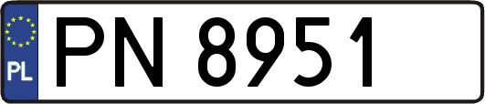 PN8951