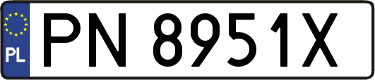 PN8951X