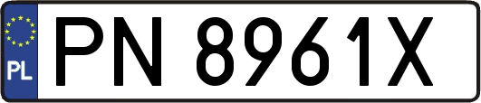 PN8961X