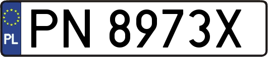 PN8973X