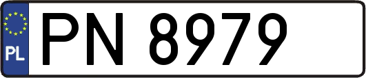 PN8979