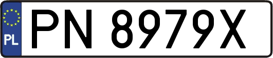 PN8979X