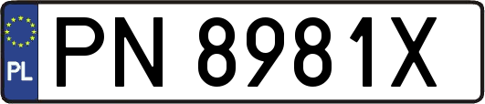 PN8981X