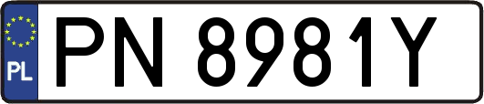 PN8981Y