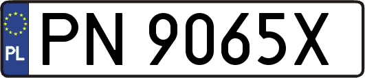 PN9065X