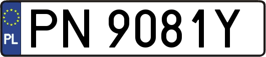 PN9081Y