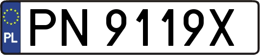 PN9119X