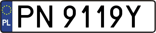 PN9119Y