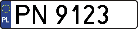 PN9123