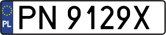 PN9129X