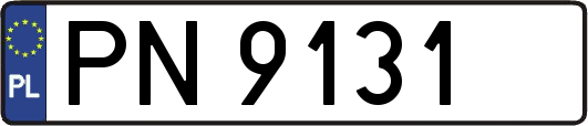 PN9131