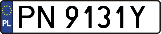 PN9131Y