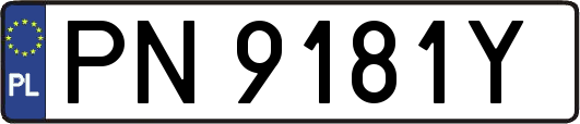 PN9181Y