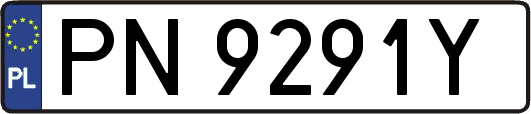 PN9291Y