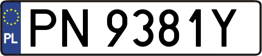 PN9381Y