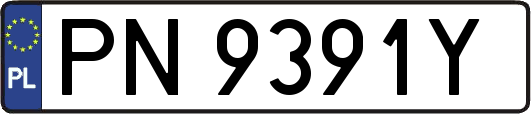 PN9391Y