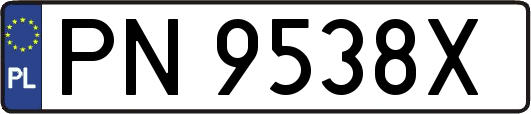 PN9538X