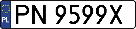 PN9599X