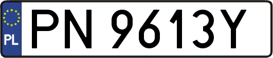 PN9613Y