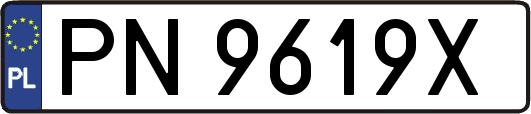 PN9619X
