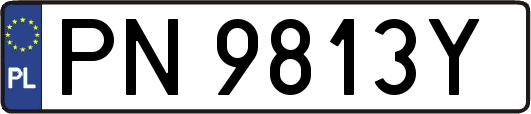 PN9813Y