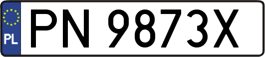 PN9873X