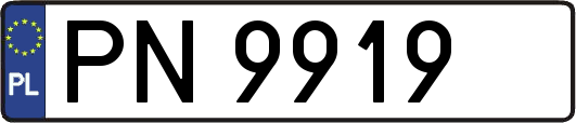 PN9919