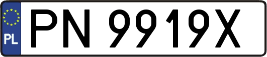 PN9919X