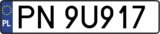 PN9U917