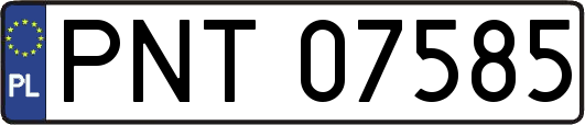 PNT07585