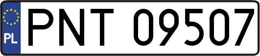 PNT09507