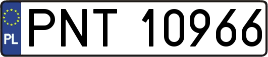 PNT10966