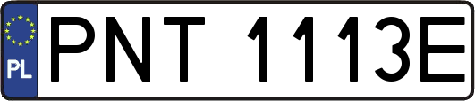 PNT1113E